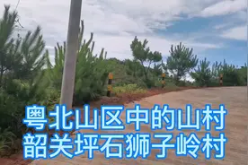 广东省韶关市乐昌坪石镇狮子岭村，粤北山区中的山区，特产水果视频封面