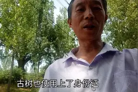 古树名木有了二维码“身份证"，通过微信扫一扫就啥都知道了。视频封面