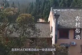 农村俗语中的,四最累 四最毒 四最膈应人，说的是什么视频封面