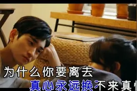2019新歌推荐 刘志鹏《为什么要离去》视频封面