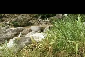 天然的风景就在贺州市八步区里松镇白水带。免费旅游视频封面