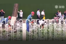 北京遭遇八级以上大风，外卖小哥被大树砸中离世视频封面