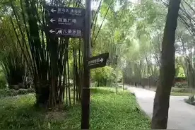 来看看成都望江公园长啥样（免费区域部分）视频封面