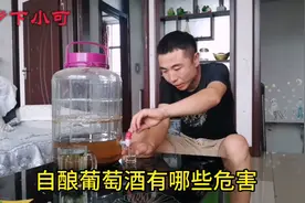 自酿葡萄酒能不能喝？有哪些危害？长见识了。视频封面