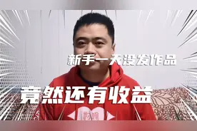 新手一天没发作品，竟然还有收益。这条视频会得罪一些大V，慎看视频封面