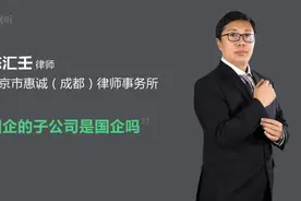 国企的子公司是国企吗视频封面