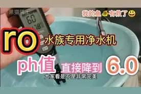 ro水族专用净水机，ph值直接降到6.0，真是惊到了，鱼也有救了视频封面