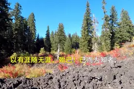 古诗文朗诵《庖丁解牛》作者.先秦：庄周-以有涯随无涯，殆已视频封面