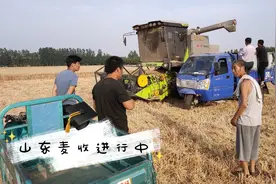 河南夫妻150000元买小麦收割机，一年能挣多少钱？你觉得划算吗？视频封面