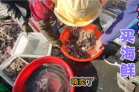 山东日照码头，各种新鲜海鲜太便宜，187元买了一盆八爪鱼，值吗视频封面