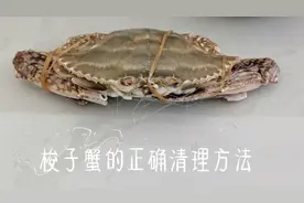 梭子蟹正确清理方法视频封面