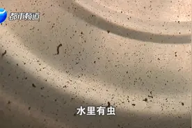 恶心！自来水里好多虫！红色长条状还不断蠕动！居民吓得不敢喝！视频封面