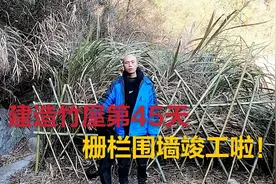 建造竹屋第45天，竹子做的栅栏小院竣工，你们觉着怎么样？视频封面