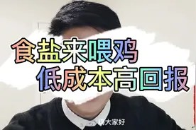 食盐喂鸡，养鸡中的双刃剑，巧妙运用，养鸡收益大增！