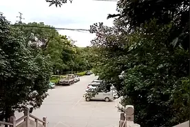 蹒跚学步的孩子，白发苍苍的老人，我牵着你，你跟着我视频封面