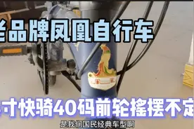 骑行西藏可以吗！二手购买500元14寸凤凰牌折叠自行车视频封面
