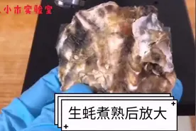 实验：将生蚝煮熟后，放大1000倍看看，有没有寄生虫。视频封面