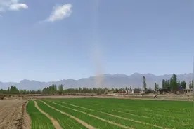 带你们看看宁夏银川西夏区的农村面貌视频封面