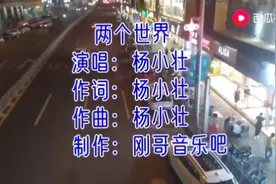 杨小壮一首非常伤感的《两个世界》火了，听这首歌的人都是有故事视频封面