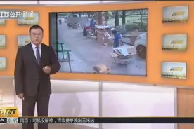 是有多懒？上海代收垃圾月入过万！“代收垃圾网约工”成新兴职业视频封面