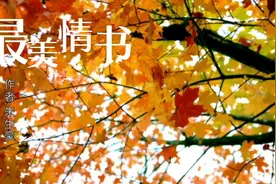 朱生豪情书，直率的语言，直白的表达，你想念自己的青春时代了吗视频封面