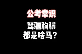 公考常识之驽驷驹骥都是啥马？视频封面