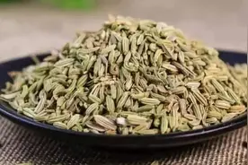 菜地里常见的这味中药，养胃促消化，可惜知道的人太少了视频封面
