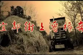 《宜都街上看稀奇》高清MV视频封面