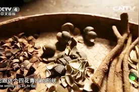 都知道橘子皮可入药，你知道它是怎样炮制的吗？快来长长见识视频封面