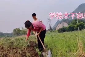 农村姑娘远嫁广西：光着脚丫下田干活，学点技术真不容易视频封面