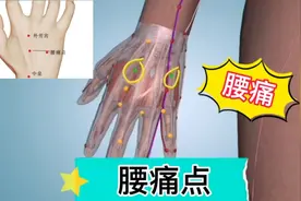 腰痛点，一个可以解决各种腰痛的神奇穴位，只要有腰疼就可以按按视频封面