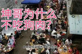 玉林人都看过来！坤哥为什么不建议大家吃狗肉？视频封面
