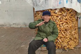 坐公交车去看平原县蛇岛，必然要经过的一个村庄，听说也快拆迁了视频封面