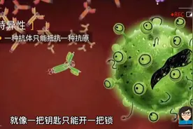 为什么注射疫苗后体内会产生抗体呢？视频封面