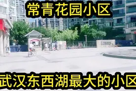 武汉东西湖汉口后花园，东西湖常青花园5小区最大小区，21栋难找视频封面