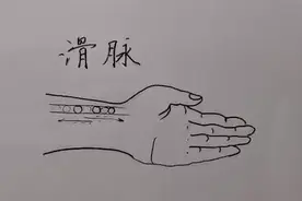 看图学中医把脉—滑脉的指下感觉及与喜脉的关系#趣味学科知识视频封面