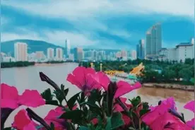 一个人在兰州无聊到坐公交车看风景