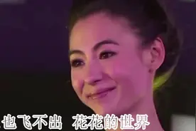 张柏芝深情演绎最新《酒醉的蝴蝶》mtv完整版……视频封面