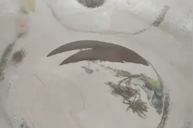 旧锅不要再扔了，开锅润锅变不粘锅3个步骤，4分钟变新锅！视频封面