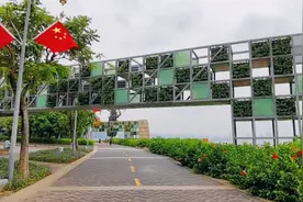 深圳湾，从这里过去就是中国香港元朗区视频封面