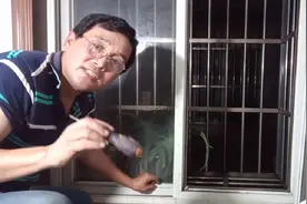 怎样把窗户玻璃轻松取下？只取玻璃不下窗户，师傅手把手教您视频封面