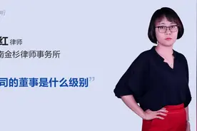 公司的董事是什么级别视频封面