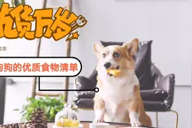 家养狗狗吃什么好？超适合狗狗的食物清单来啦，宜收藏#科学养宠#视频封面
