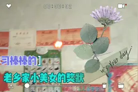 小美女学习棒棒的，刚上2年级6张奖状收货满满！👏👏👏视频封面