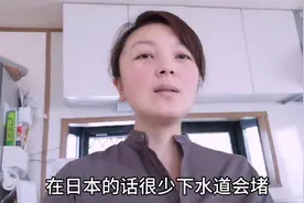 日本普通家庭厨余垃圾处理，日本下水道的巧妙设计，不堵塞没异味视频封面