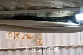 小伙因鸡压死损失两千多，花了四十元看下能否行，行的话多买几个视频封面