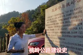 哈佛H9女司机游走皖南川藏线，桃岭下路遇孤独大胖猴，走丢了？视频封面