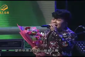 王建宁《梦回延安》视频封面