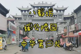 中华第一龙的诞生地，濮阳县何时融入市区的怀抱视频封面