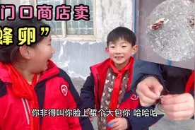 周口一小学门口商店卖“蜂卵”，弟弟买回去后姐姐为什么却哭了？视频封面